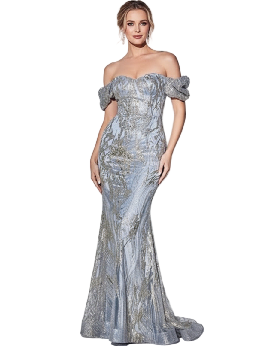 Lee mother of the bride dress Woman wearing a silver off-shoulder evening gown on a white background