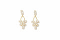 Crystal drop earrings